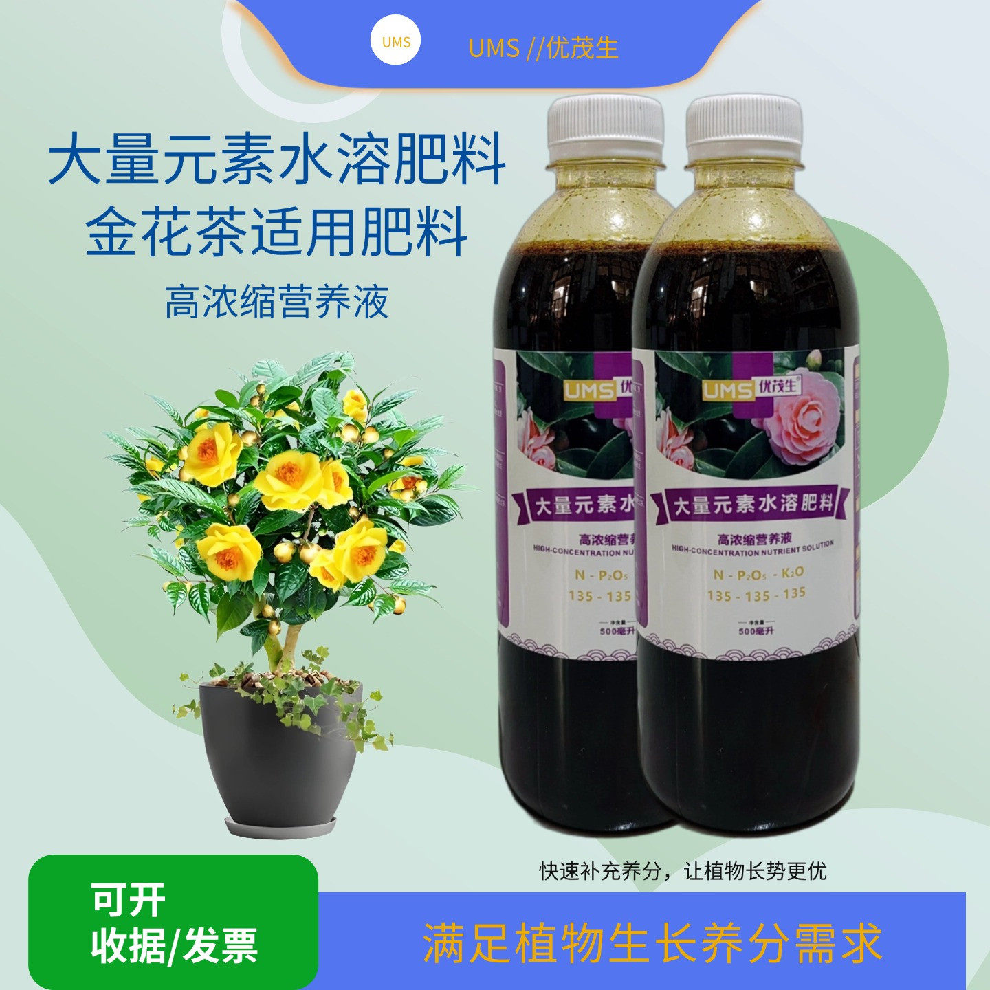 金花茶凹脉黄樽大量元素营养液室内盆栽庭院植物浓缩喷施水溶肥料