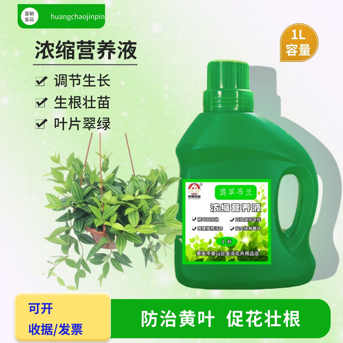 钻石翡翠吊兰盆栽浓缩营养液垂吊常春藤专用室内水培绿植水溶花肥,鲜花速递/花卉仿真/绿植园艺,家庭园艺肥料,淘宝优惠券,粉丝福利购,淘宝优惠卷