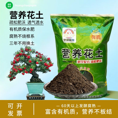 火棘客厅庭院盆景绿植透气种植土