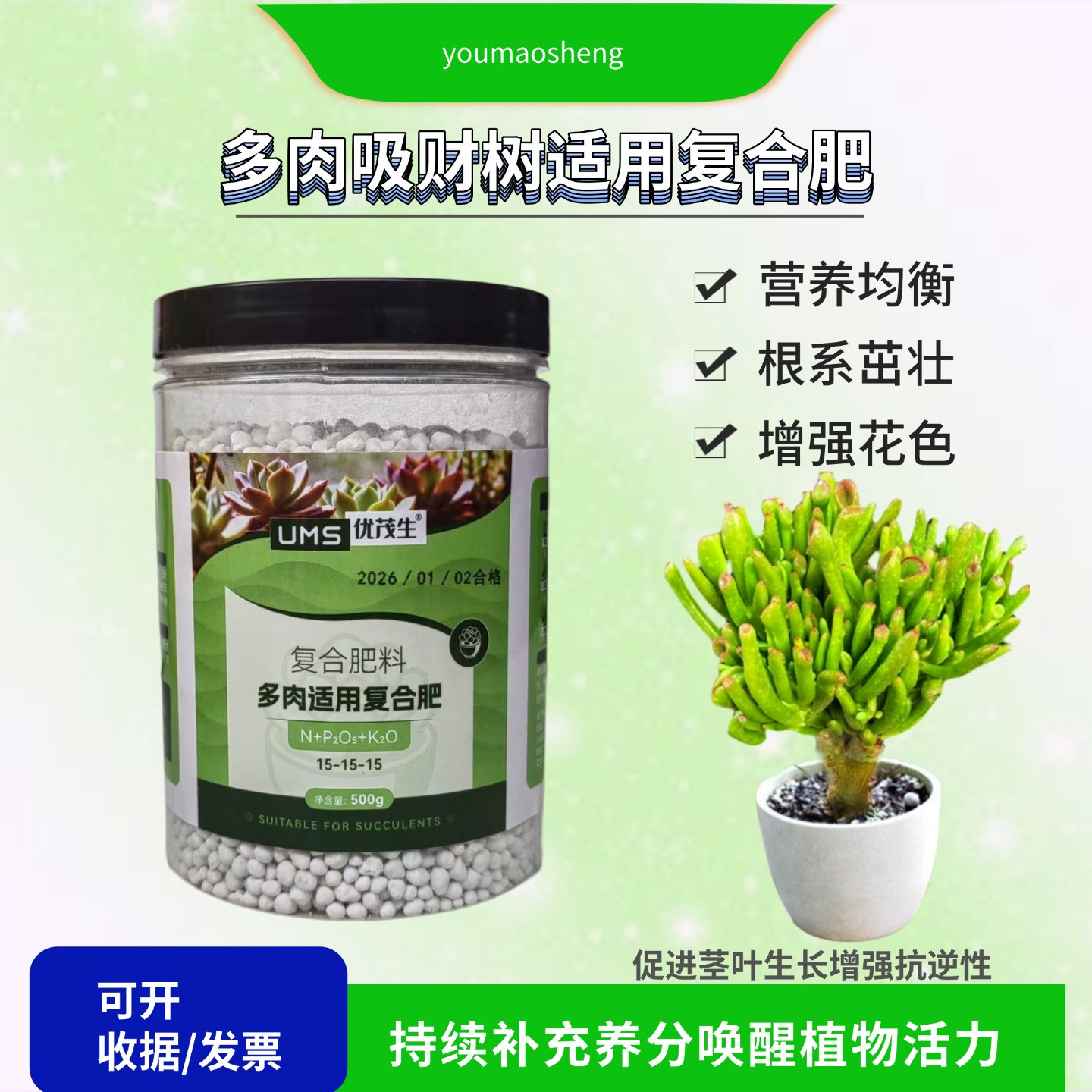 吸财树盆栽多肉植物颗粒养花肥料