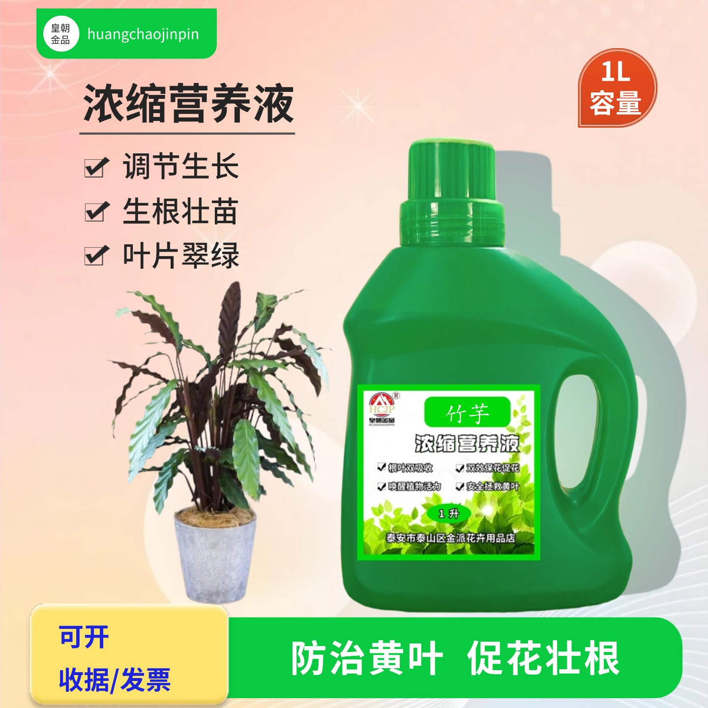 竹芋室内客厅盆栽绿植水溶养花肥