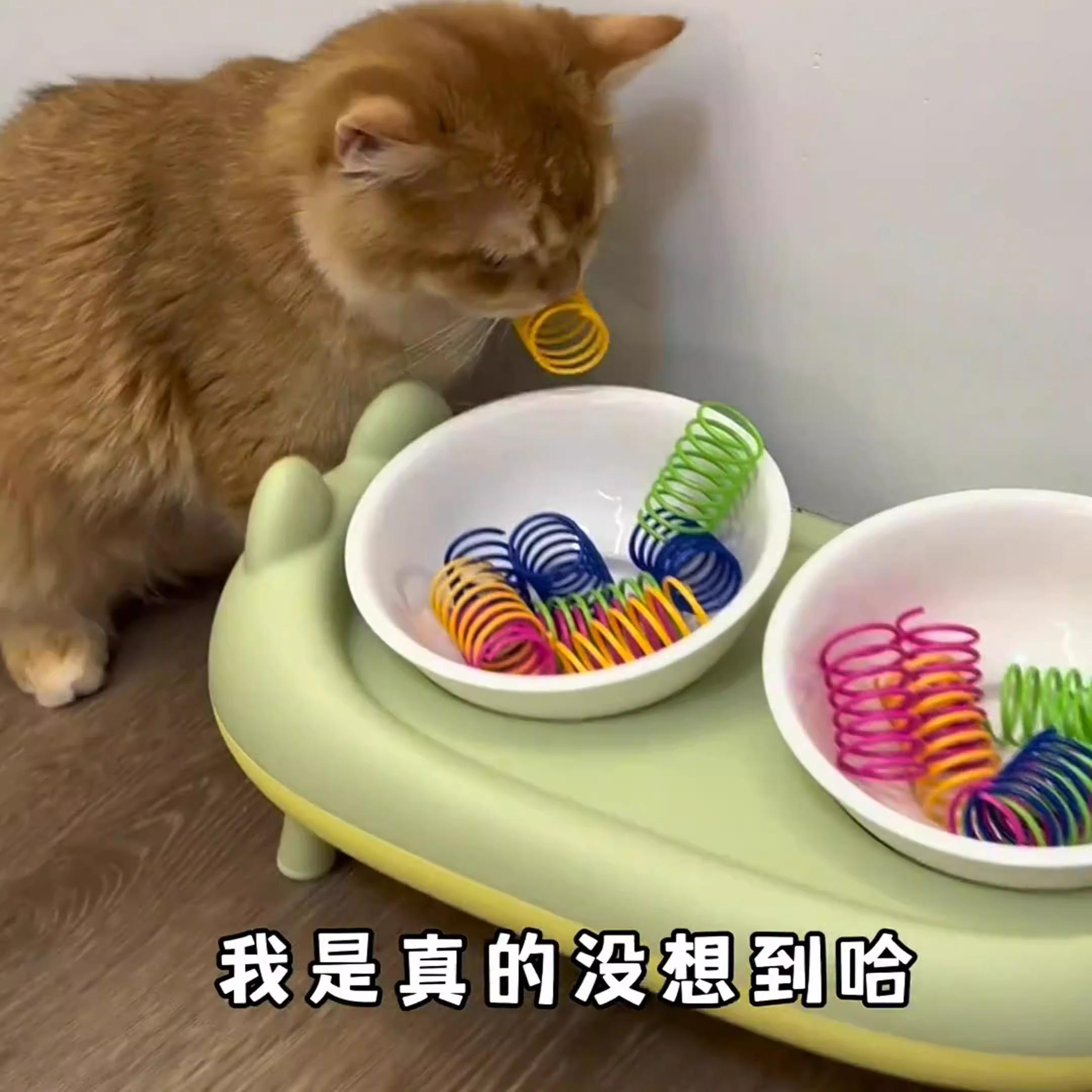 逗猫神器彩色塑料小弹簧