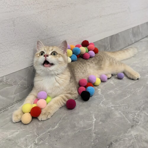 猫玩具逗猫球猫咪自嗨解闷消耗体力逗猫棒人宠互动发射枪磨牙小球