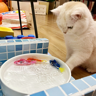 猫玩具自嗨解闷神器发光仿真小丑鱼会游泳逗猫电动小鱼电子感应鱼