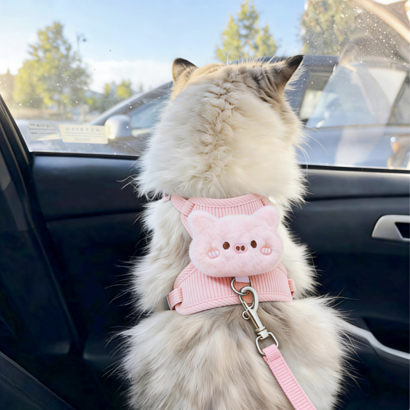 可爱小猪猫咪牵引绳防挣脱外出专用防走丢工字背带不勒脖遛狗神器