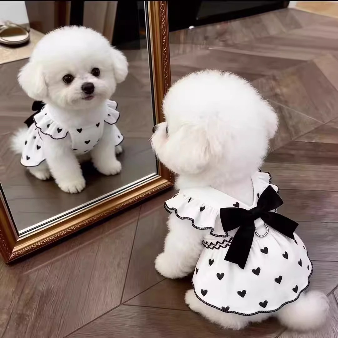 狗狗衣服夏季薄款公主裙泰迪比熊雪纳瑞小型犬猫咪宠物透气防掉毛