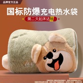 充电热水袋防爆电暖宝可拆洗暖手宝双插手暖宫暖腹月子保暖暖宝宝