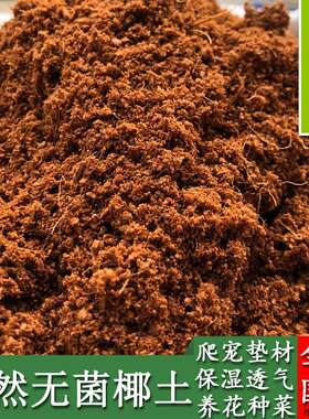 进口椰土垫材爬宠无菌椰砖土蜘蛛蝎子角蛙蜗牛垫材乌龟冬眠土包邮