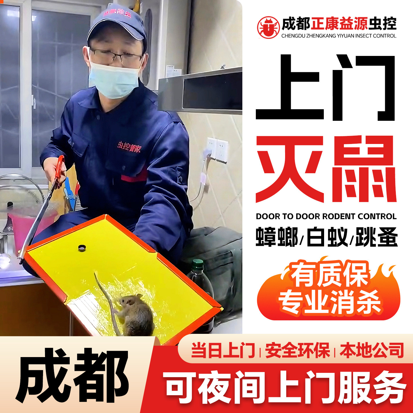 成都上门灭鼠服务除蟑螂上门除虫白蚁防治消杀抓老鼠上门灭鼠公司