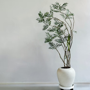 柳叶十大功劳盆景老桩禅意造型盆栽客厅大型绿植茶室国风造景植物