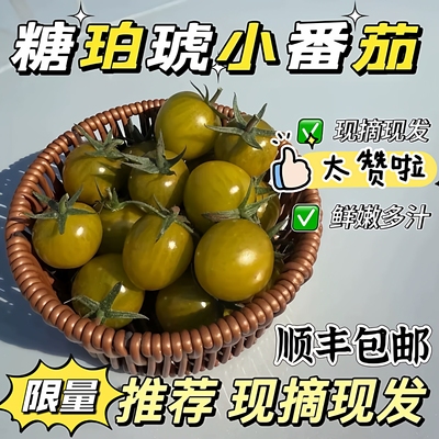 顺丰快递 糖珀琥小番茄 琥珀番茄 口口爆汁 黄绿色小圣女果小番茄