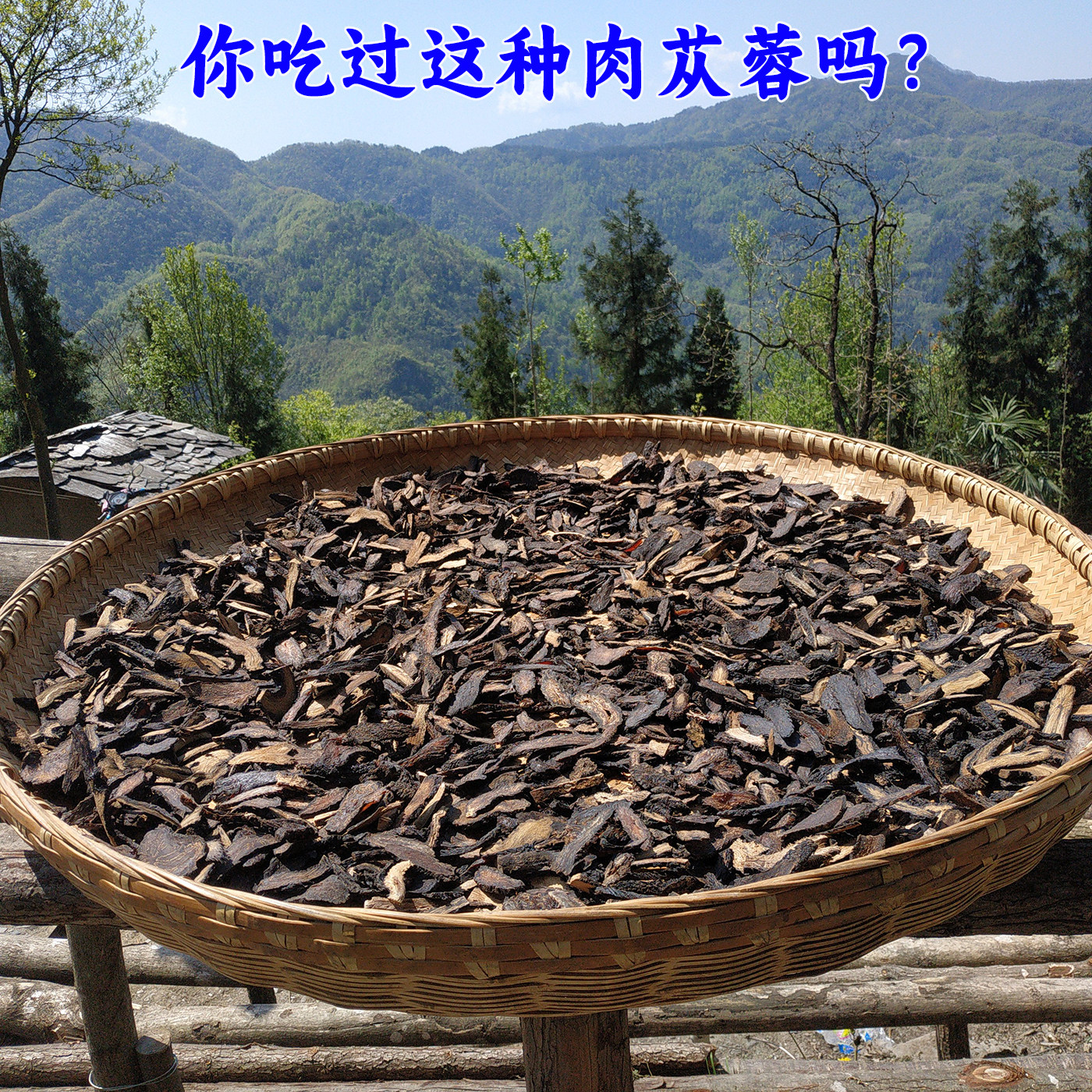 肉苁蓉切片500g肉苁蓉泡酒肉苁蓉粉肉苁蓉锁阳淫羊藿肉苁蓉中药材