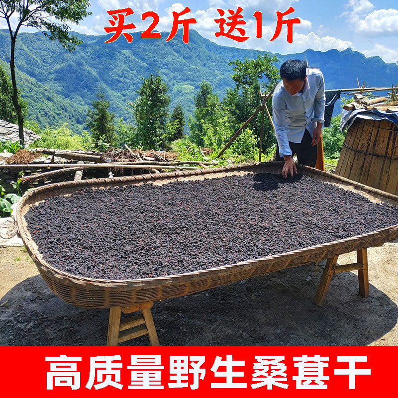 野生桑葚干直接吃500g即食桑葚干黑桑椹特级干桑葚泡水黑桑葚干果
