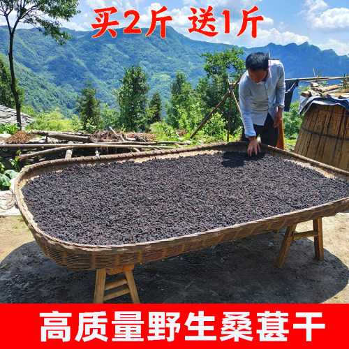 60年老树野生桑葚干买2斤送1斤