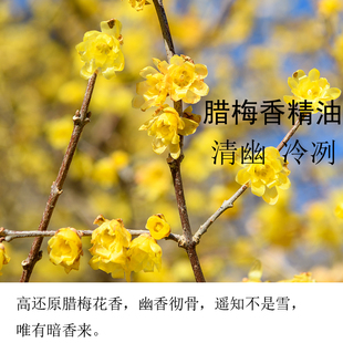 腊梅香精diy香水石膏香薰精油调香还原腊梅花香味香膏原料车载