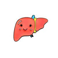 Human organ brooches, eyes, teeth, brain, kidneys, lungs, liver, breasts, heart, department MEDALS thumbnail 2