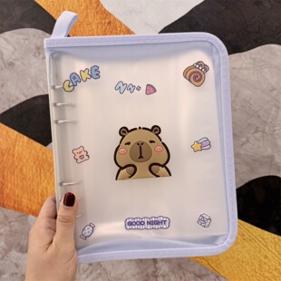 新款卡通孕妈产检收纳册a4a5孕检资料册孕妇孕期b超报告单档案册