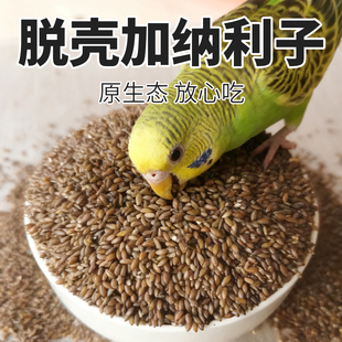 去壳加纳利子鸟食牡丹玄凤虎皮雀鸟鸟粮无壳粟子增肥亮羽脱壳白尖