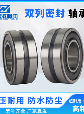 双列带密封调心滚子轴承BS2-2205 2206 2207 2208 2209 2210 2CS