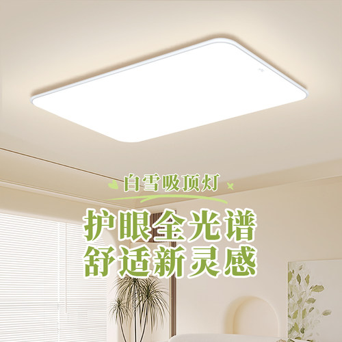 雷士照明客厅主灯2025新款简约中山灯具全光谱护眼吸顶灯全屋套餐