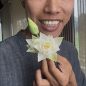 微型碗莲种藕姜永慧微莲苑小盆易养禅意荷花根苗 月桂盏 新品 种