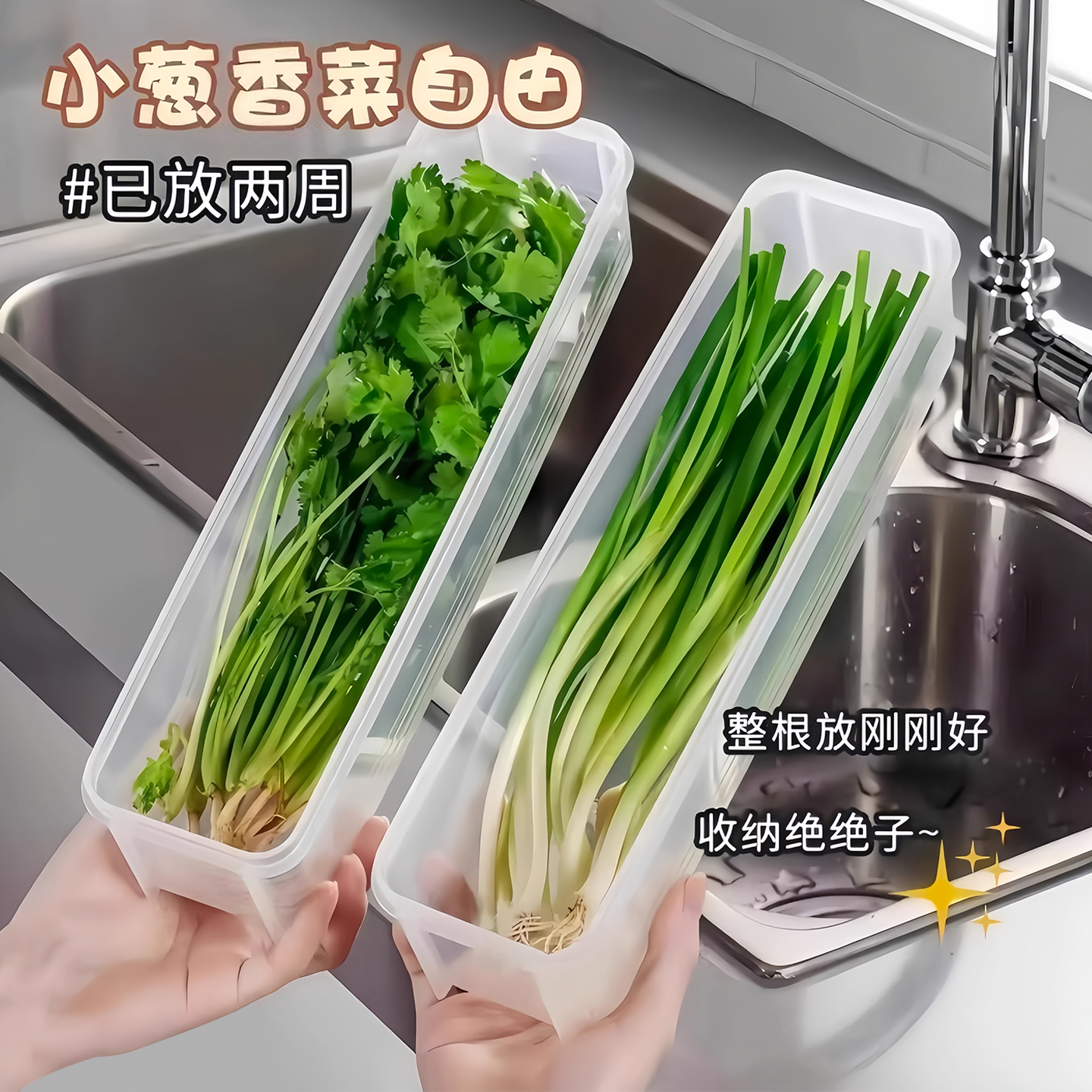 保鲜盒食品级大葱香菜芫荽整理盒