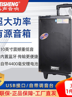 特美声A10-2户外音响10寸低音炮