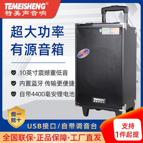 特美声A10-2户外音响10寸低音炮