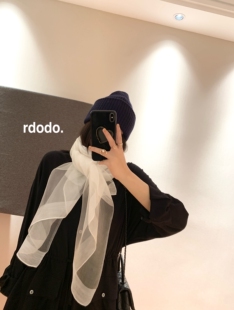 Rdodo 空灵柔雾氛围感桑蚕丝羊毛真丝丝巾披肩纱巾女款柔软围巾
