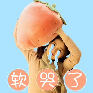 可爱ins马卡龙色草莓抱枕暖手捂布娃娃毛绒玩具少女心生日礼物女