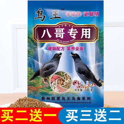 贵州凯里鸟王系列八哥营养全面