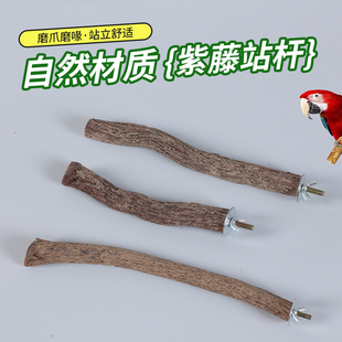 鸟笼装饰站棍木和尚小太阳栖息棒新款鹦鹉树枝站杆天然树藤造景