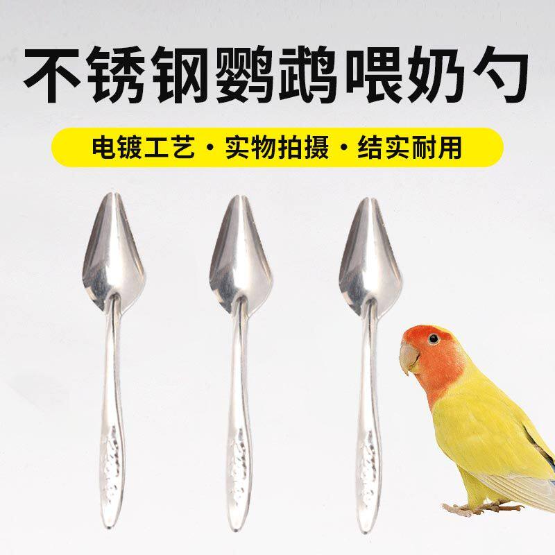 鹦鹉喂奶器不锈钢勺子手养八哥鹩哥玄凤虎皮BB雏鸟幼鸟奶粉喂奶勺