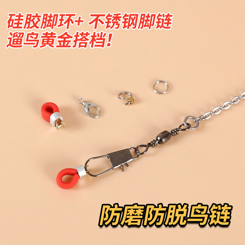 训鸟脖套鹦鹉开口脚环护腿鸟链子不锈钢鹦鹉脚链虎皮牡丹玄凤八哥