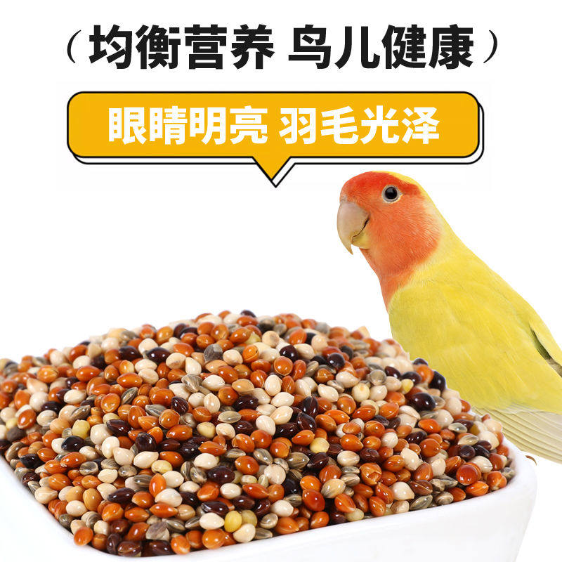 虎皮牡丹玄凤中小型鹦鹉鸟食饲料五色黍子鹦鹉混合粮谷子包邮