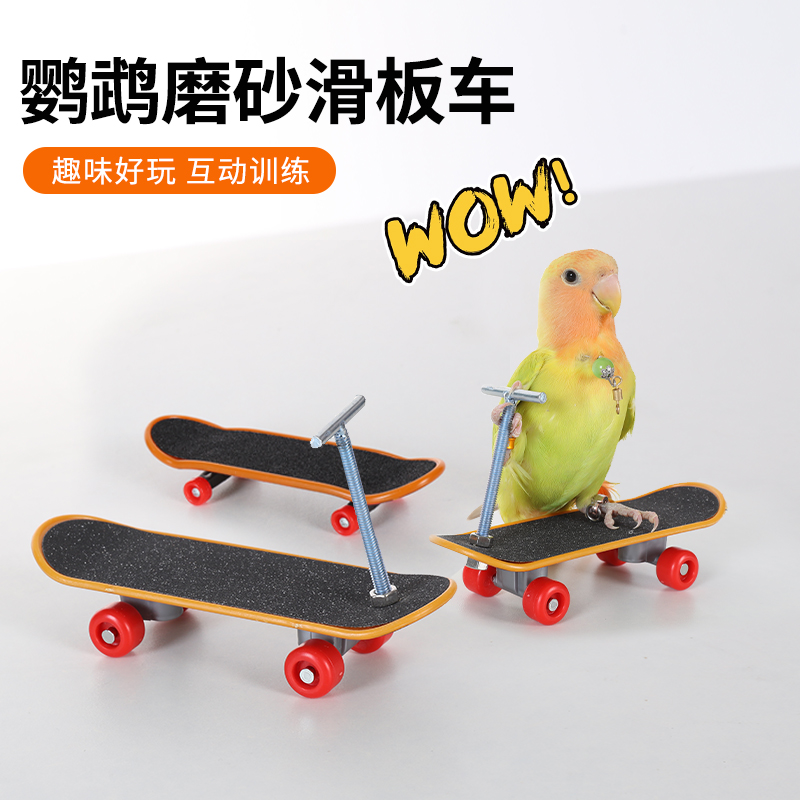 鸟用品套圈滑板车训练道具智力玩具鹦鹉益智玩具虎皮牡丹玄凤训练