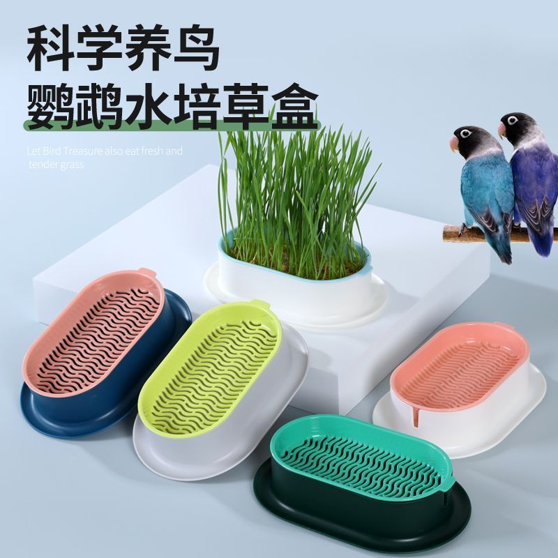 鸟用品鹦鹉零食草盆栽水培化毛球草小麦粒非已种好猫薄荷懒人