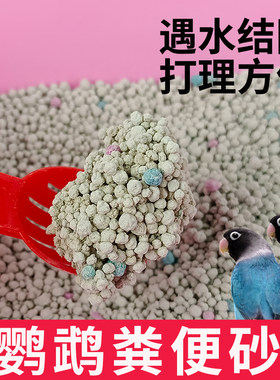 仓鼠尿砂夏天用品活性炭双重清洁厕所尿沙金丝熊兔子刺猬消暑垫料