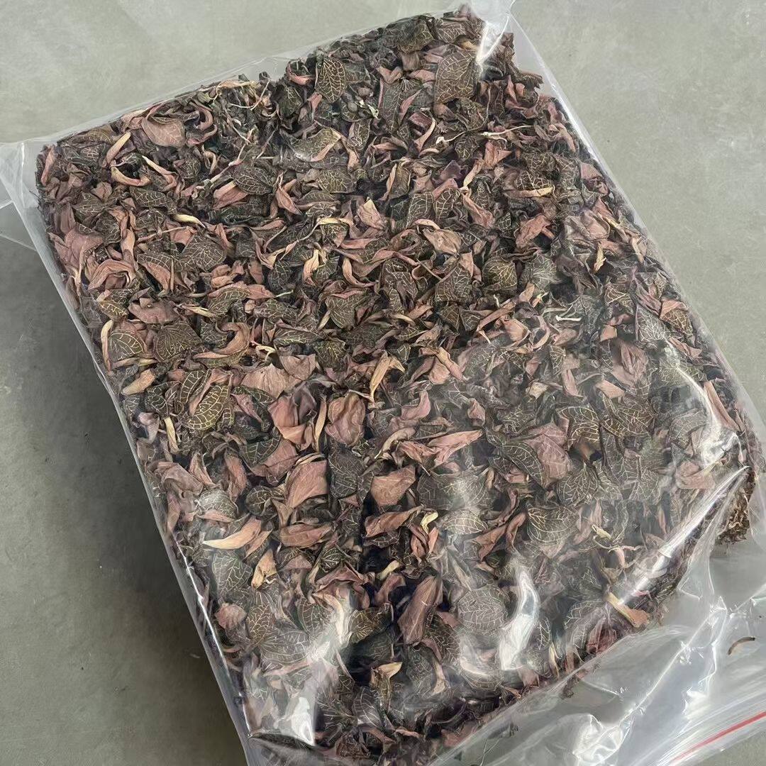 安咏德福建红霞金线莲干品盒装产地销售整株仿野生500克散装包邮