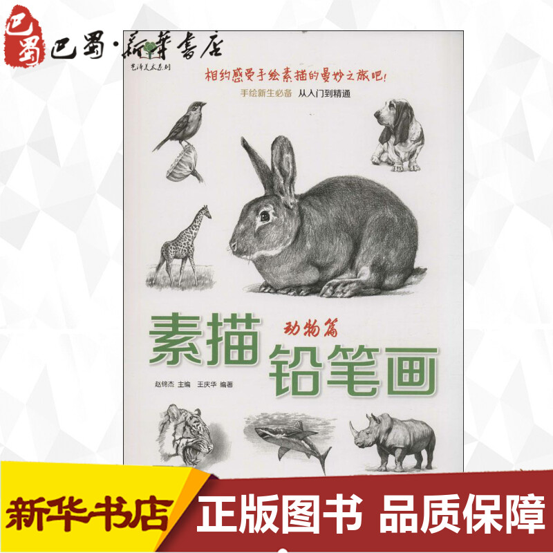 新华书店正版 美术技法