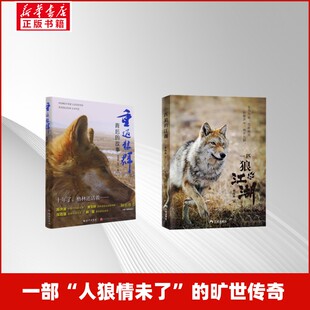 重返狼群背后的故事+一匹狼的江湖 李微漪//红娟 著等 民间文学/民族文学文学 新华书店正版图书籍 海南出版社等