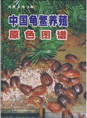 中国龟鳖养殖原色图谱 周婷 著 著 农业基础科学专业科技 新华书店正版图书籍 中国农业出版社