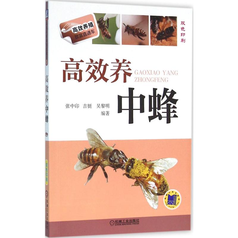 高效养中蜂蜜蜂养殖技术书籍养蜂书籍实用手册中华蜂土蜂中蜂饲养新技术书农业科学养殖技术养蜜蜂技术蜜蜂养殖大全书籍养蜂正版书