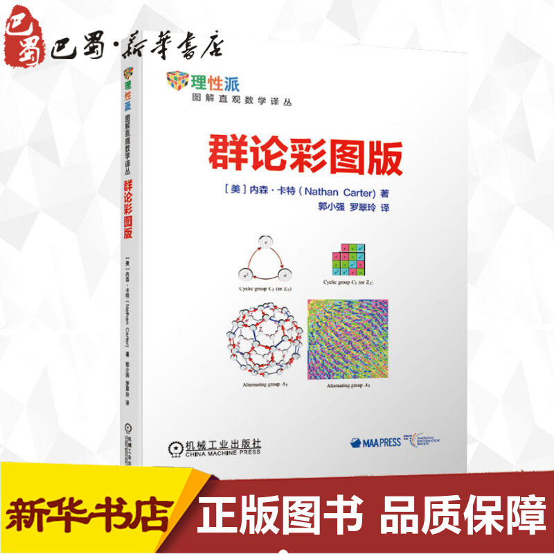 群论彩图版 数学原来可以这样学发现数学之美 数学建模趣味数学学习