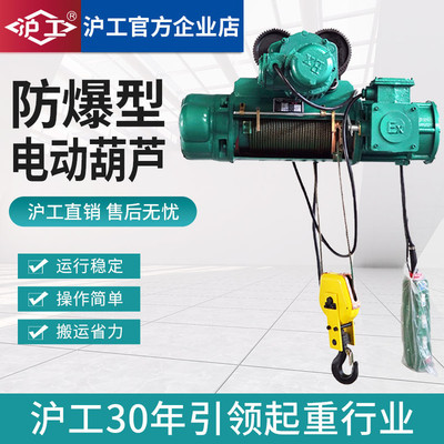 沪工BCD型防爆电动葫芦