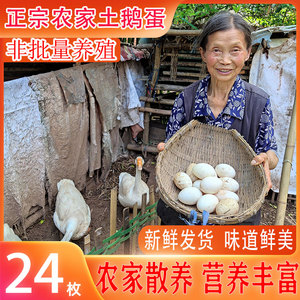 正宗农家散养鹅蛋孕妇月子