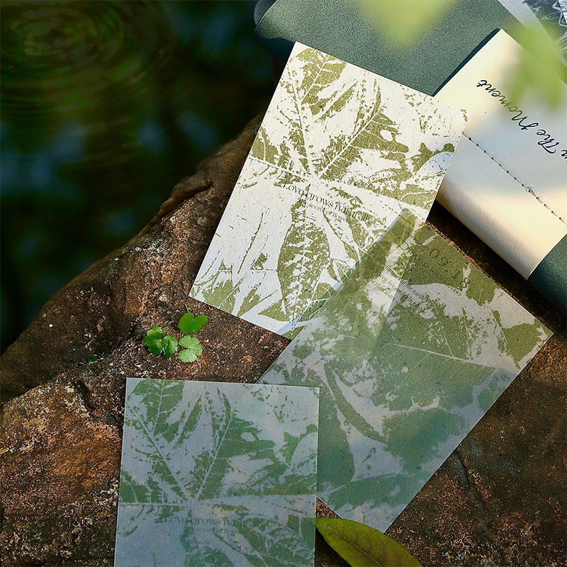 番茄酱少女自然如画系列 素材纸自然元素植物手账素材装饰打底6款,文具电教/文化用品/商务用品,咕卡/咕卡盘/配件,淘宝优惠券,粉丝福利购,淘宝优惠卷