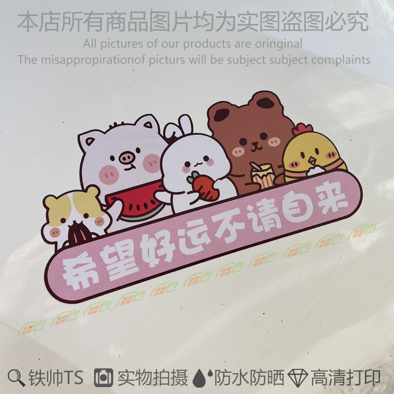 世帅pvc不干胶防水防晒不伤车漆