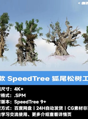 4款SpeedTree狐尾松树源工程 树木软件SpeedTree工程文件 spm