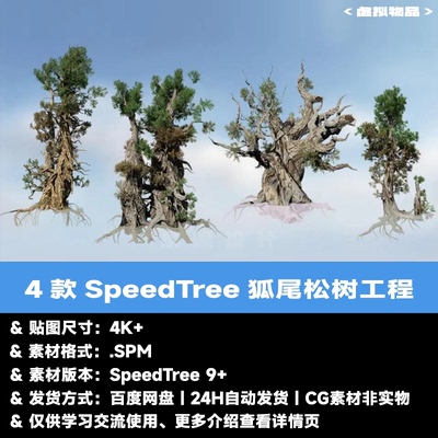 4款SpeedTree狐尾松树源工程 树木软件SpeedTree工程文件 spm